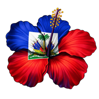 Haitian Flag Hibiscus Orchid Caribbean Island Flower - HAITIBEST